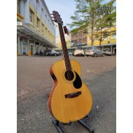 Segovia F-W 07 GN Acoustic Electric Guitar