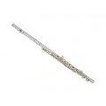 Flute